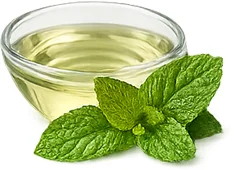 Έλαιο μέντας πιπερώδους στην κρέμα {{OFFER_NAME}}